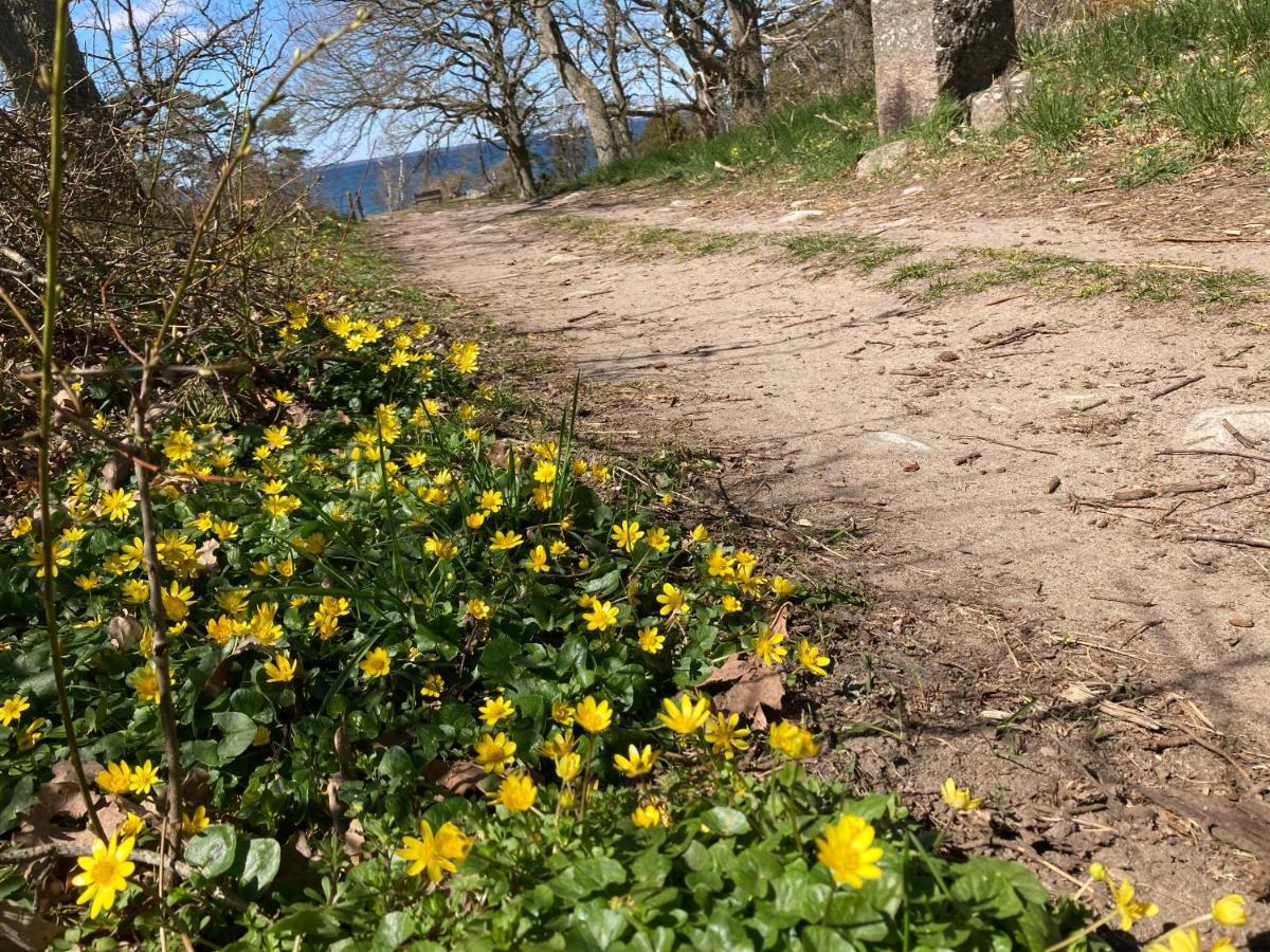 Gunnabo Villa Borgholm Eksteriør bilde